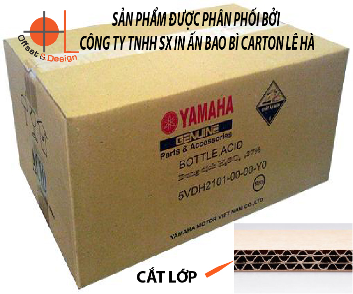 dịch vụ in thùng carton số lượng ít giá rẻ tại TPHCM 03