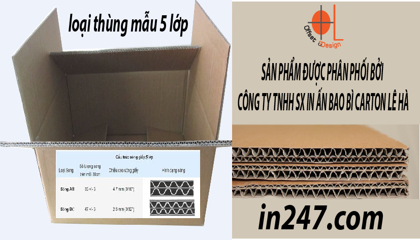 dịch vụ in thùng carton số lượng ít giá rẻ tại TPHCM 02